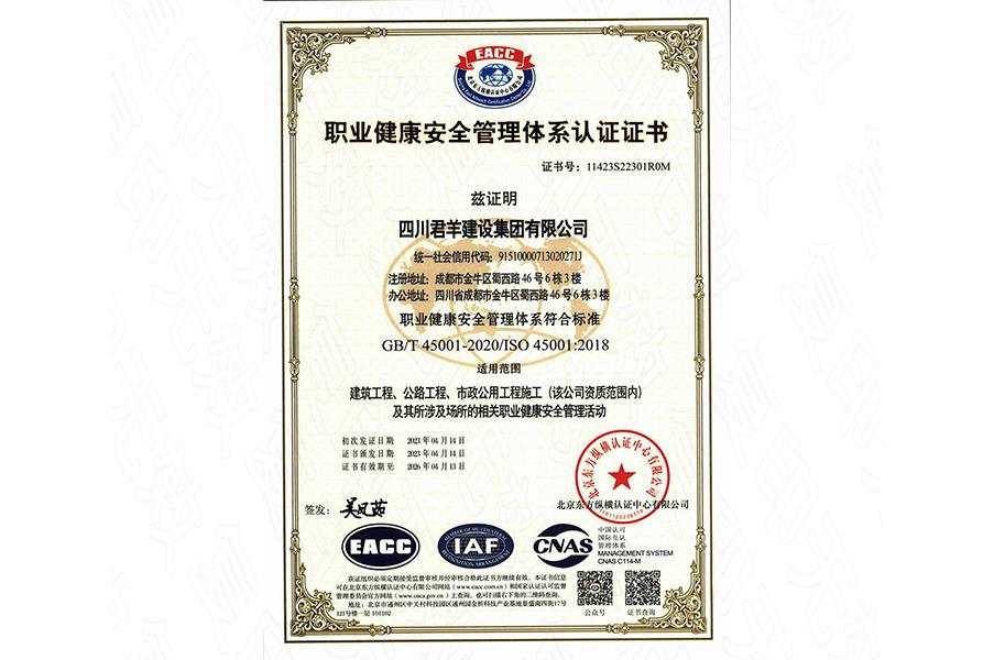 职业健康管理体系证书