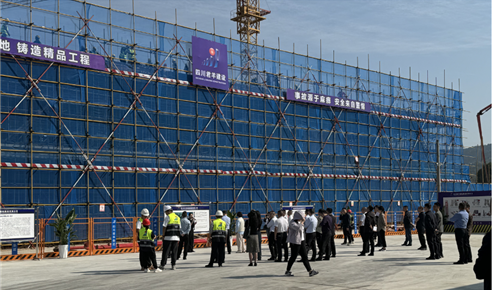 阆中市人大主要领导调研阆中市医疗康复中心建设项目